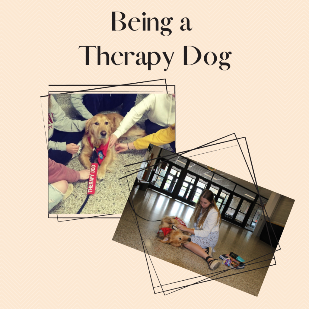 Therapy Dog Impact