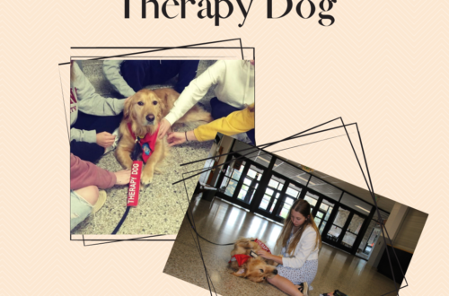 Therapy Dog Impact